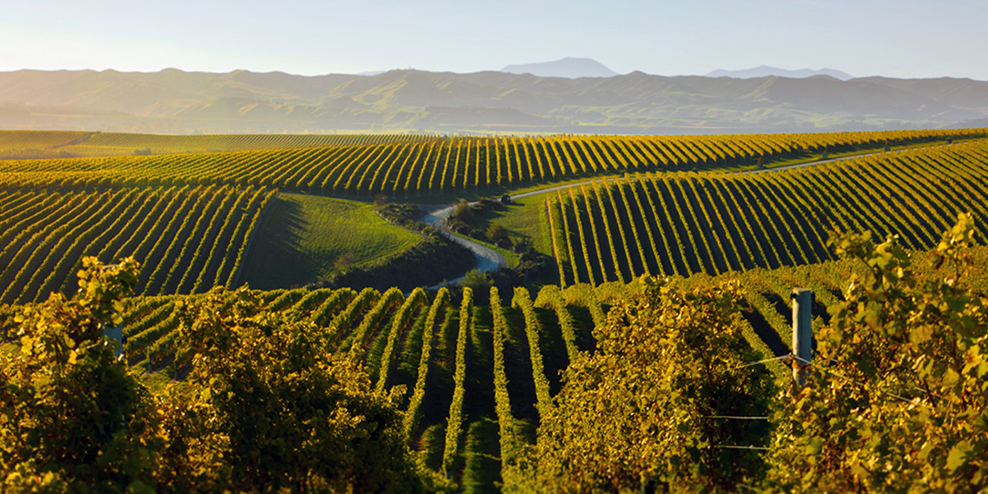 Marlborough, New Zealand